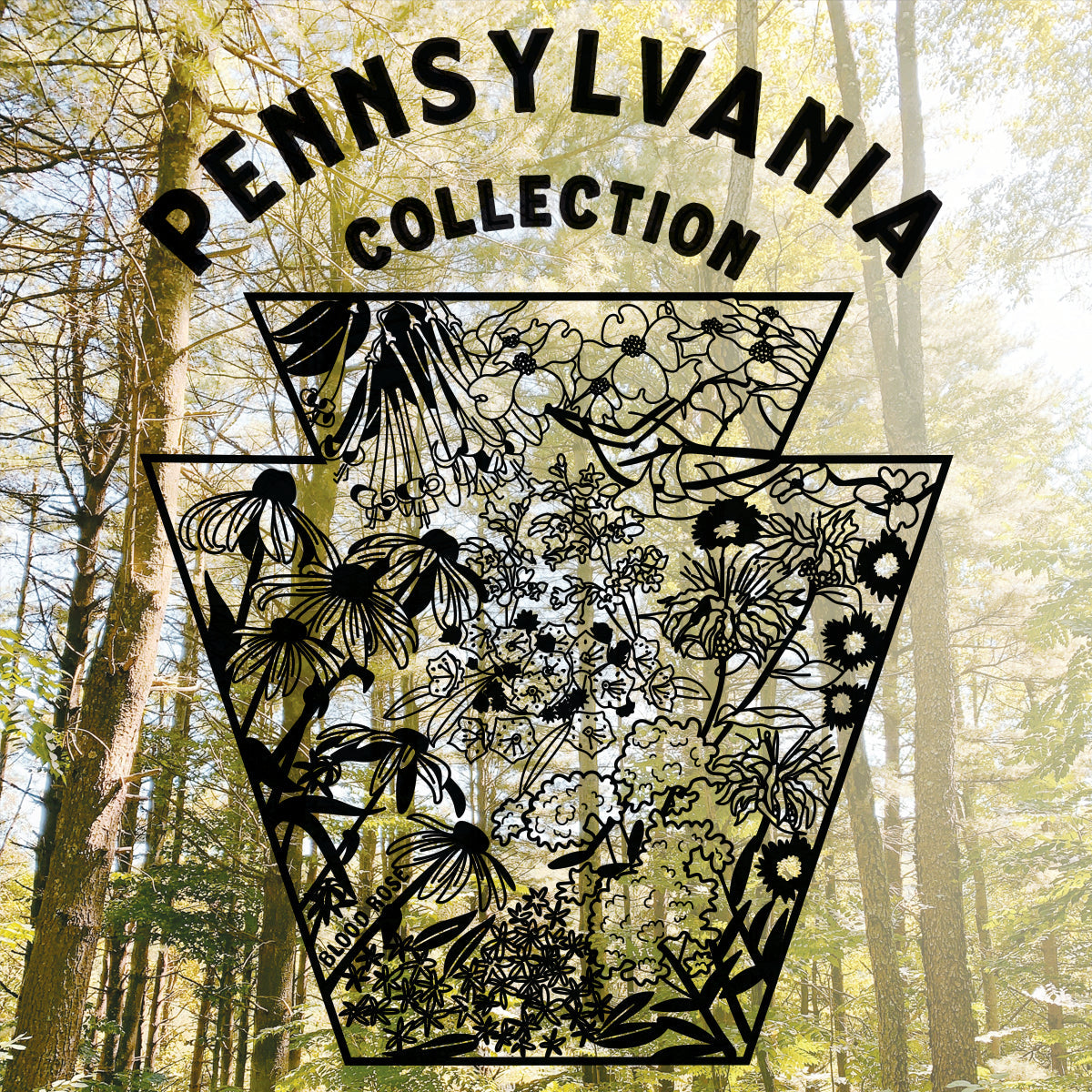 Pennsylvania Collection