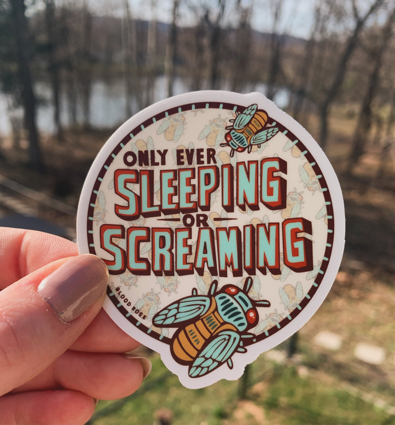 Cicada ‘Sleeping or Screaming’ Vinyl Sticker