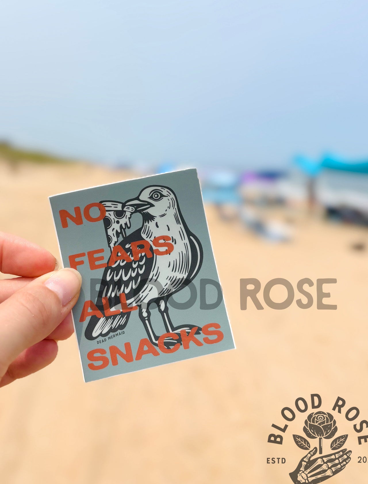 No Fears All Snacks Seagull Pizza Vinyl Sticker