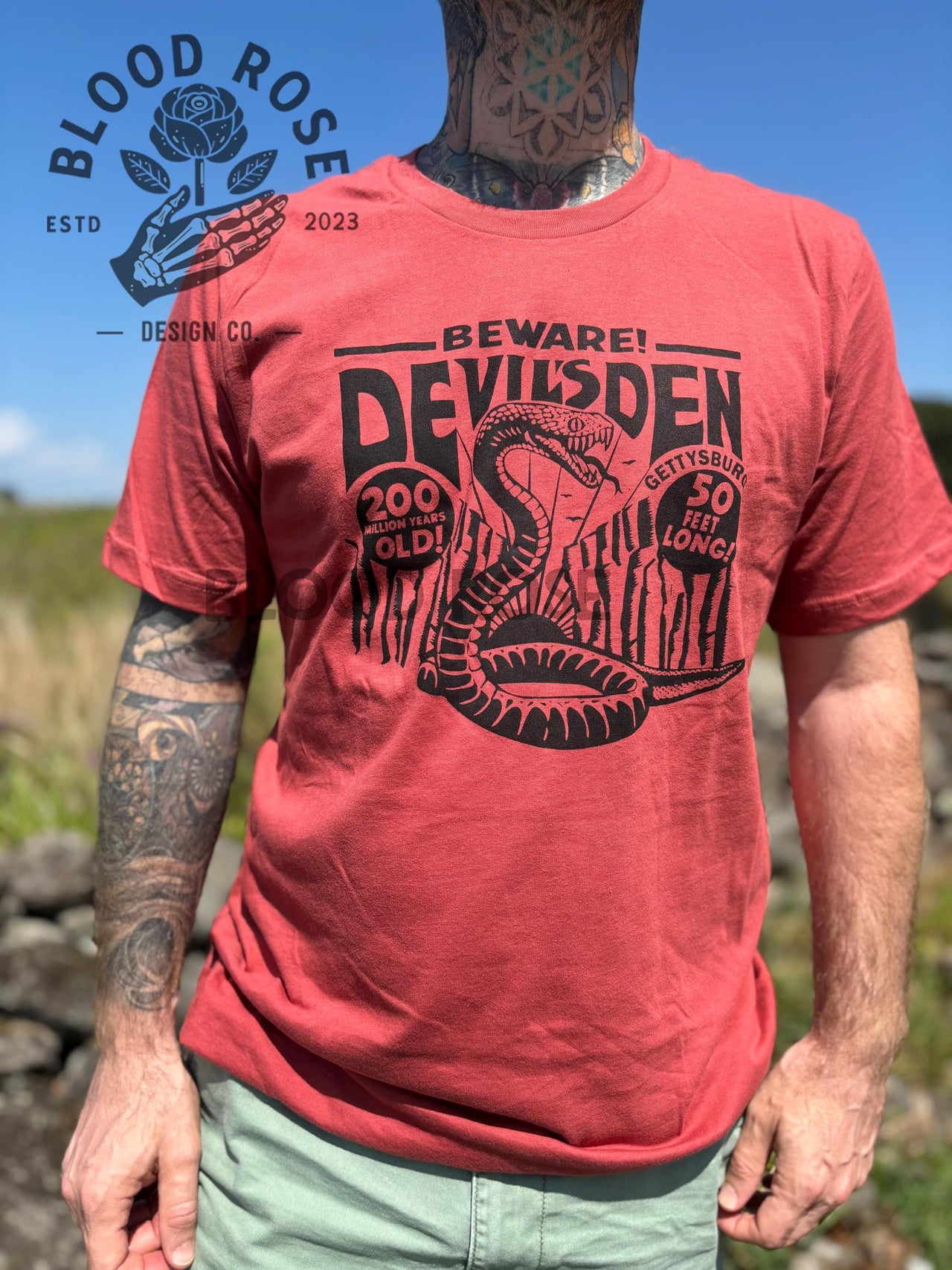 Devil’s Den Gettysburg T-shirt- (screen printed by hand) local legend, snake, creature feature, Unisex