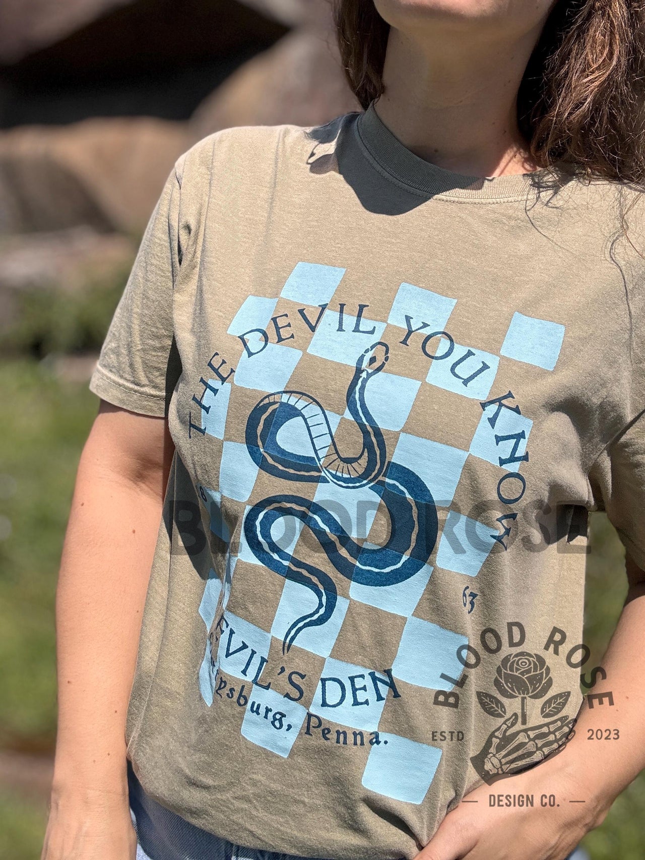 Devil's Den Gettysburg Pennsylvania Snake Design hand screen printed Comfort Colors