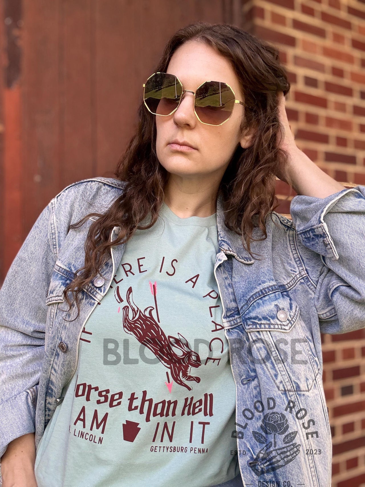 If There is a Place Worse Than Hell Lincoln Civil War Gettysburg PA hand screen printed